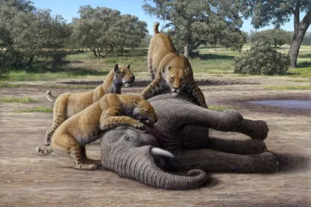 NYT: Baby Mammoths Were Meals for These Saber-Tooth Cats