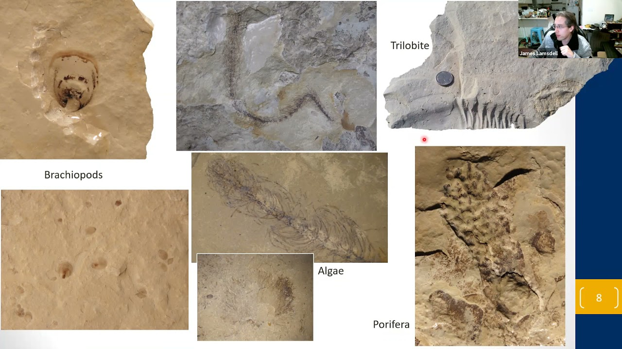 Video: ESCONI March 2021 General Meeting – “The Big Hill Lagerstätte”