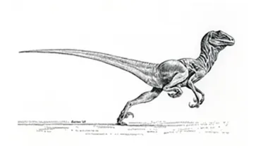 Deinonychus Changed Our Understanding of Dinosaurs