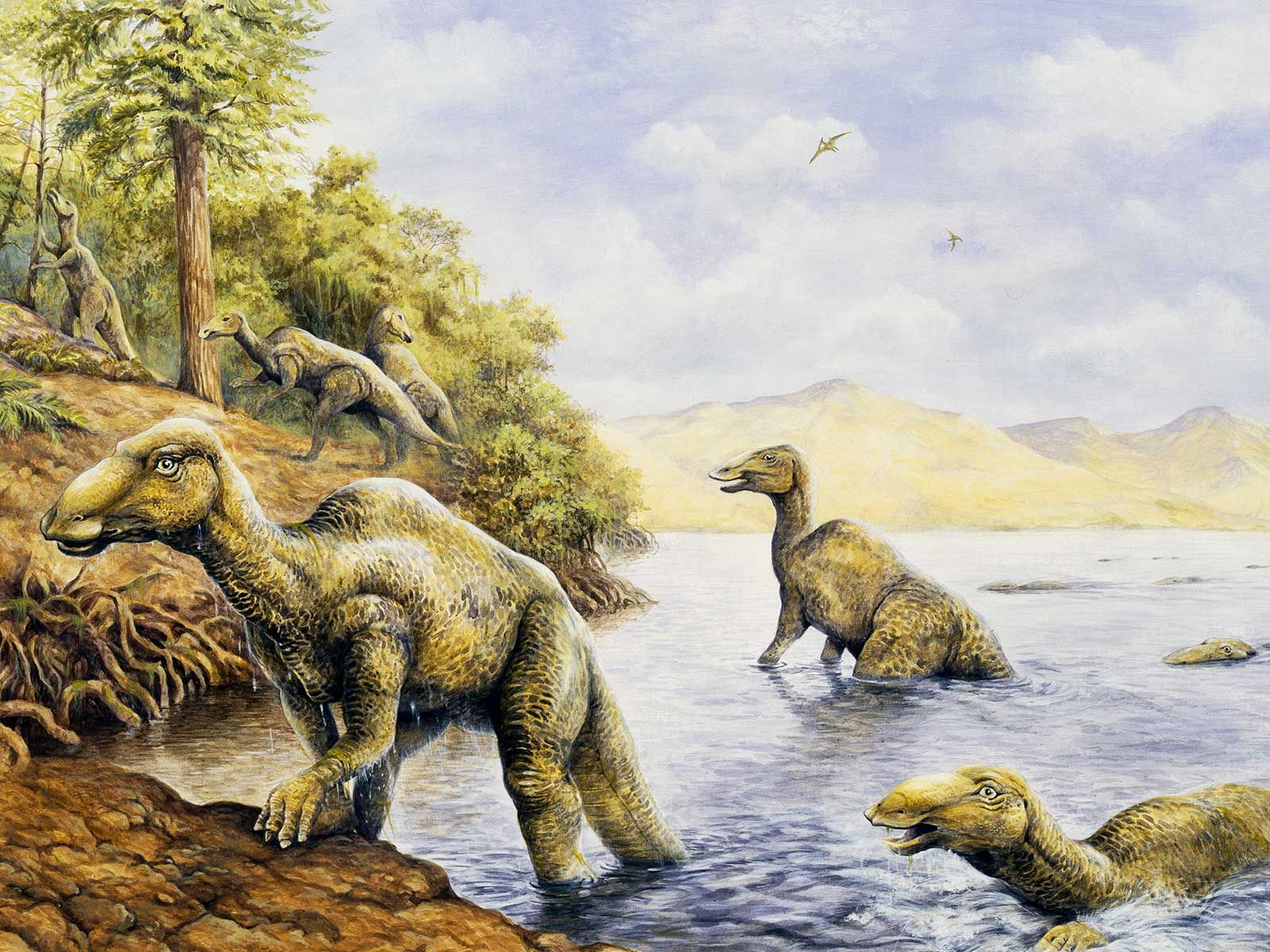 Smithsonian: An Ode to the World’s Most Average Dinosaurs