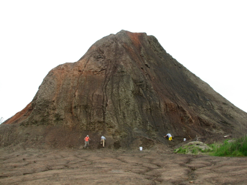 Fossil Friday #56: Braceville Mazon Creek Fossils