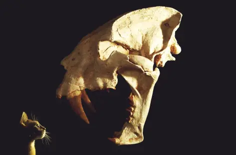 Exciting Paleontological Discoveries You Probably Missed in May