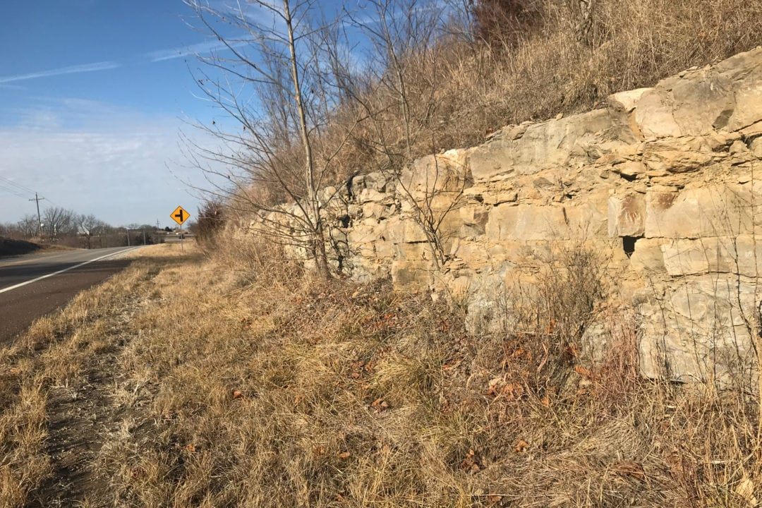 Roadtrippers: Kansas is a fossil hunter’s paradise—here’s how and where to explore it