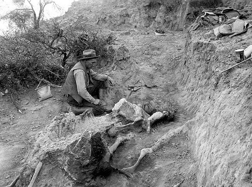 Throwback Thursday #68: Field Museum Photo Archive… Revisted