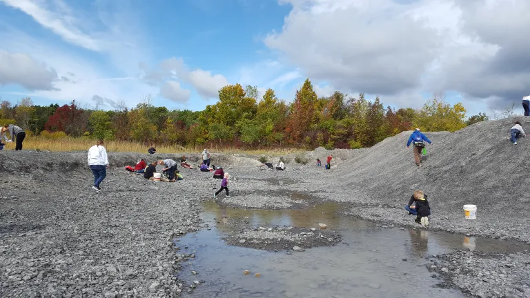 Digging up fun and fossils at Penn Dixie Fossil Park