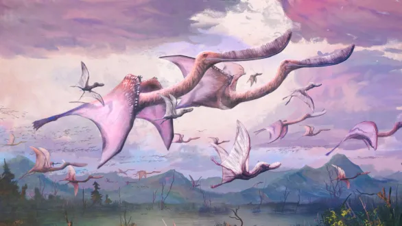 Pterosaurs may have been able to fly as soon as they hatched
