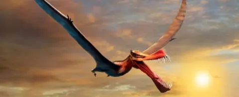 A Terrifying ‘Dragon’ Was The Largest Known Flying Reptile of Ancient Australia