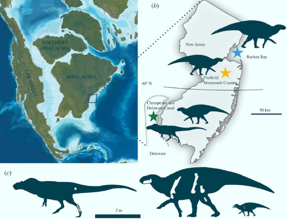 Two New Appalachian Dinosaurs Discovered