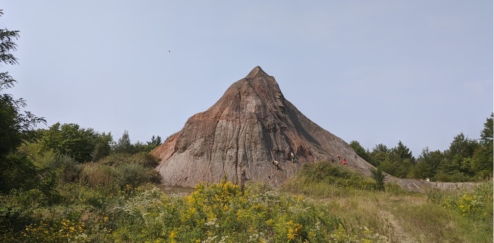 Mazon Monday #79: Braceville Field Trip (Mazon Creek) Report