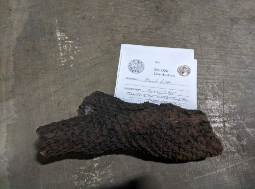 2021 ESCONI Fall Sale October 16th, 2021 – Preview #1, Mazon Creek Petrified Wood From Pit 1