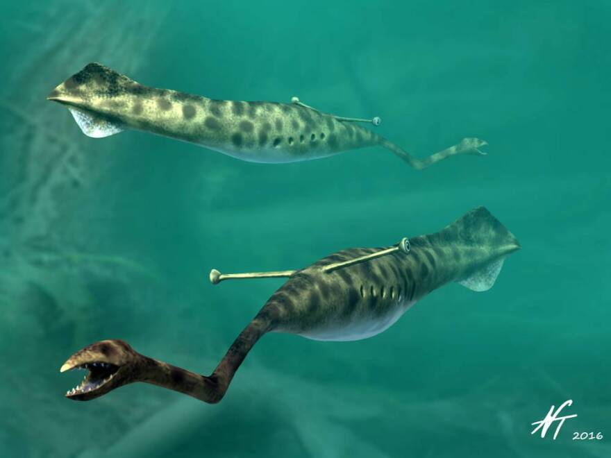 Throwback Thursday #74: This Week In Illinois History: The Tully Monster (August 31, 1989)