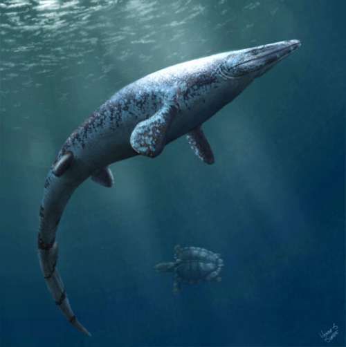 New Mosasaur Species Uncovered in Kansas