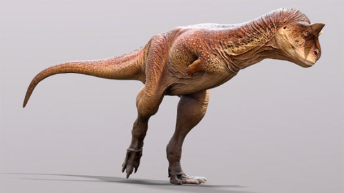 Carnotaurus Had Scaly Skin with No Feathers, Paleontologists Say