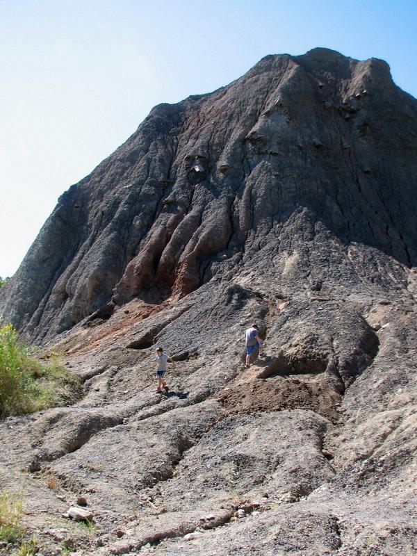 Mazon Monday #76: Spring Braceville Field Trip Report by AJ Templer