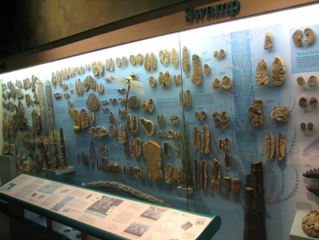 Mazon Monday #83: George Langford at the Illinois State Museum