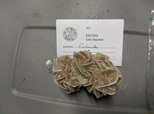 2021 ESCONI Fall Sale October 16th, 2021 – Preview #7, Selenite