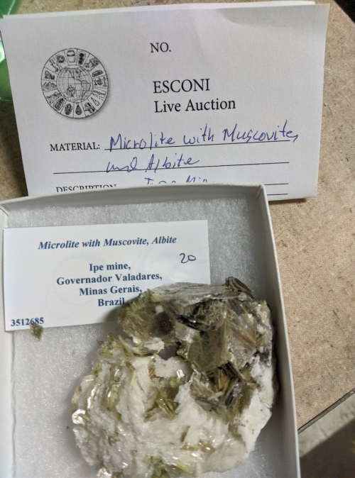 2021 ESCONI Fall Sale October 16th, 2021 – Preview #5, Microlite with Muscavite and Albite from Brazil