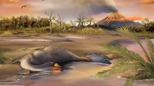 These 125 million-year-old fossils may hold dinosaur DNA