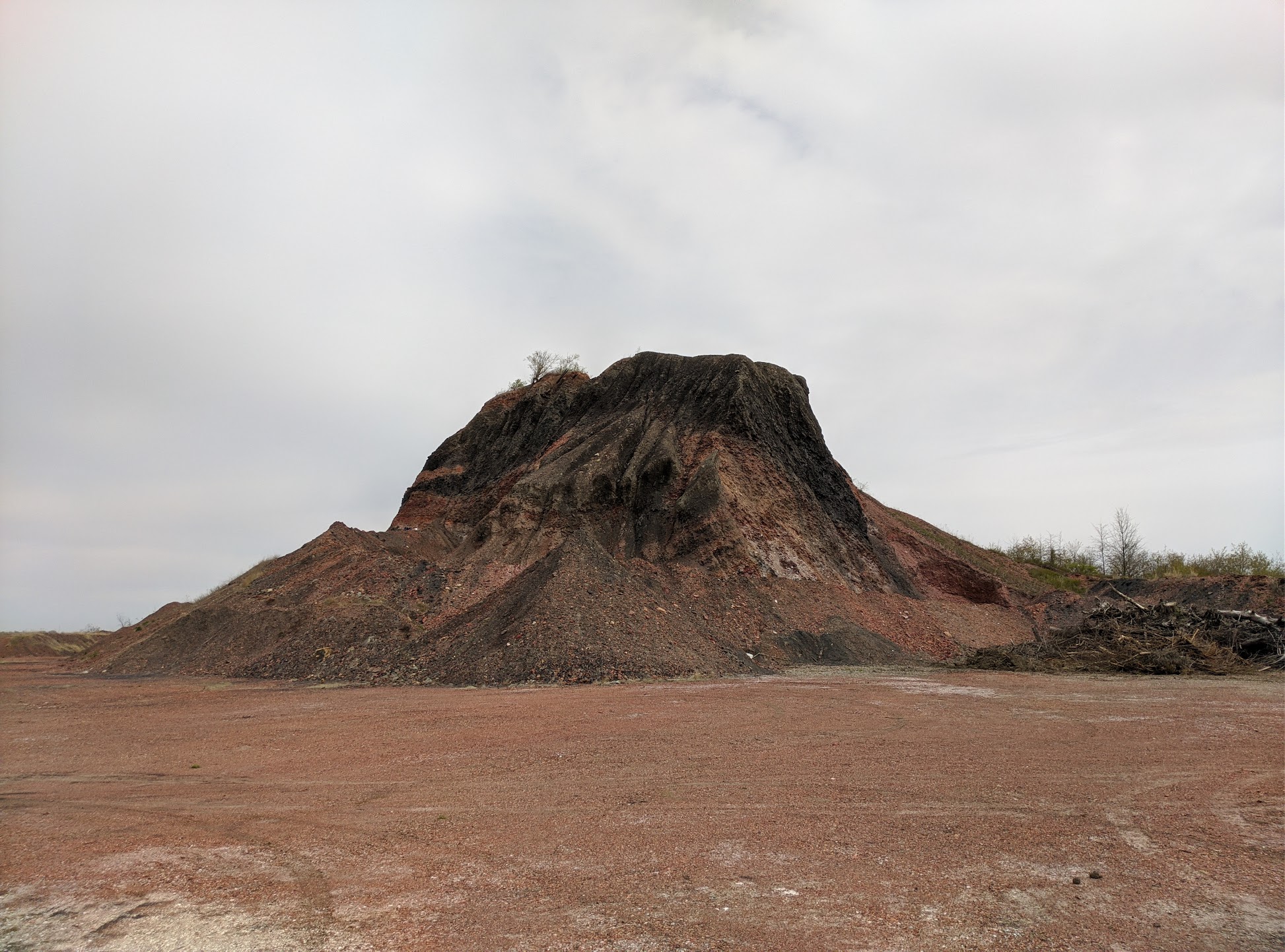 Mazon Monday #86: Herrin Coal Fossil Guides