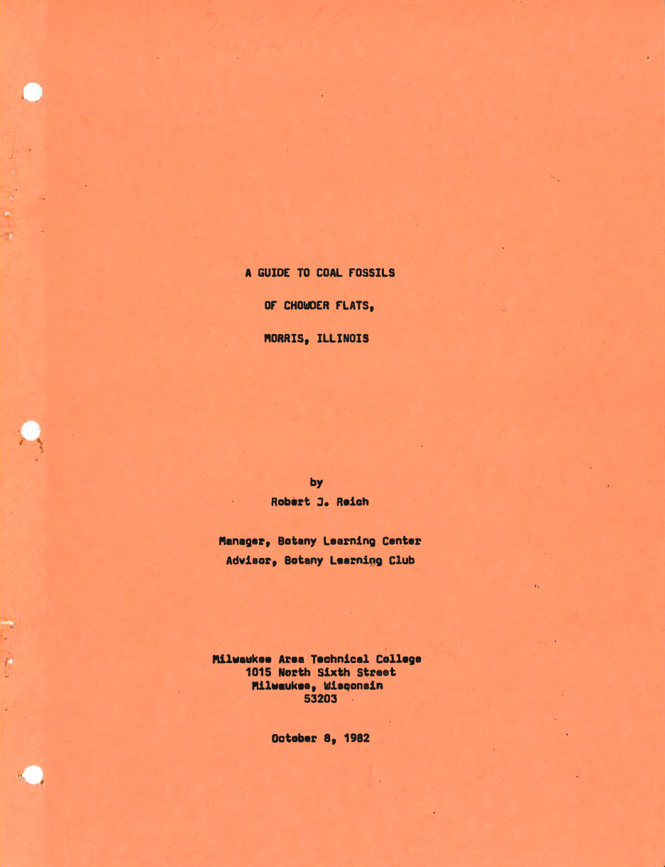 Mazon Monday #84: Chowder Flats