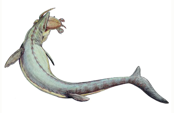 Giant Sea Lizards Ruled the Waves While T. Rex Roamed on Land