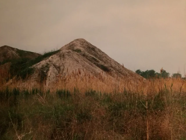 Throwback Thursday #87: Field & Street