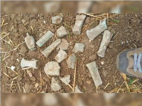 British Teenager Discovers Rare Bronze Age Ax Hoard