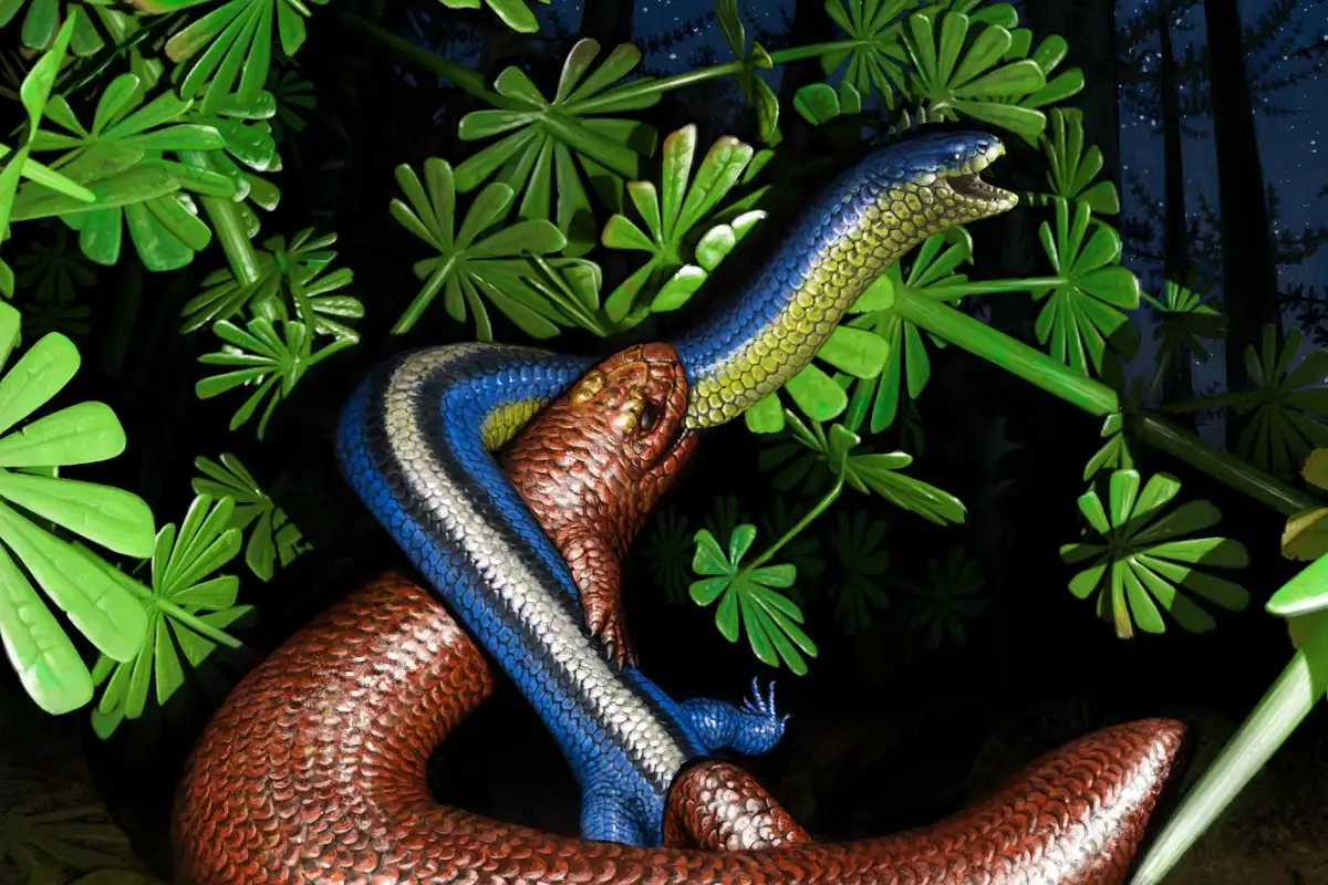 Nature: Snake-like limb loss in a Carboniferous amniote