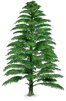 ESCONI April 2022 General Meeting – April 8th, 2022 at 8:00 PM In-person/Zoom – “Devonian plants from the famous Red Hill location”