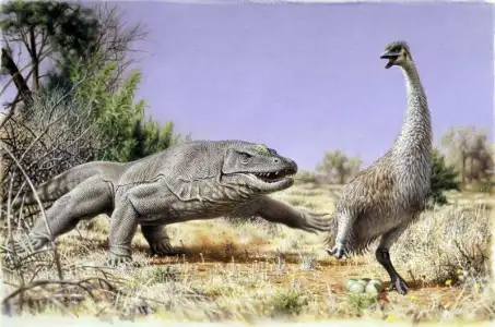 The first Australians ate giant eggs of huge flightless birds, ancient proteins confirm
