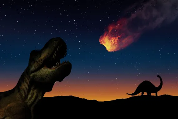 How the dinosaur extinction changed plant evolution