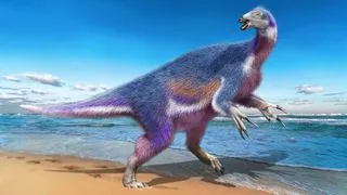 Dinosaur ‘reaper’ with massive claws found in Japan