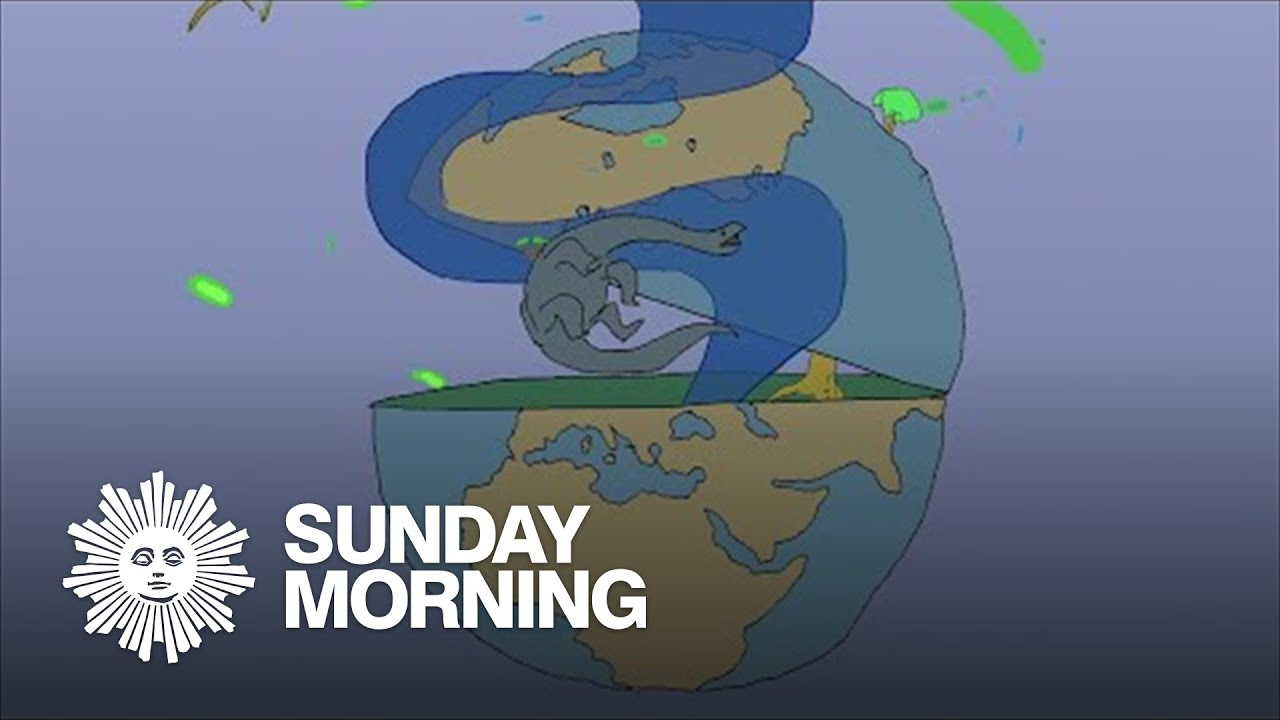 “Meet the Fossils”: Ancient life that powers our world