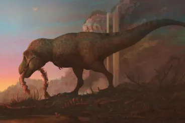 Splitting T. Rex Into 3 Species Becomes a Dinosaur Royal Rumble
