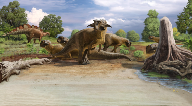 Meet Psittacosaurus, The Dinosaur That Keeps on Giving