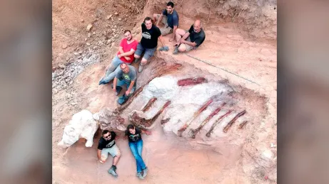 Ginormous Jurassic fossil in Portugal may be the biggest dinosaur ever found in Europe