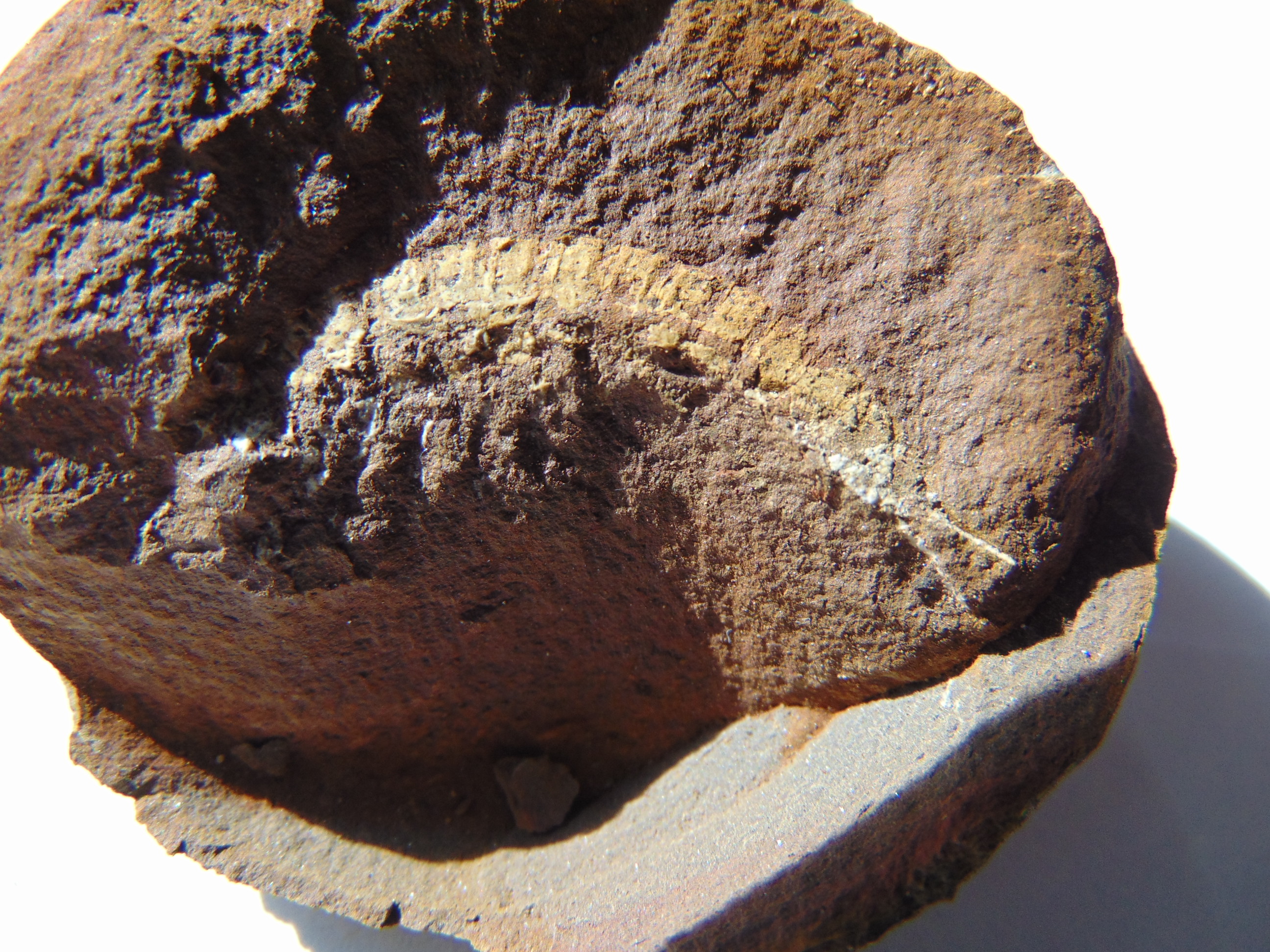 Fossil Friday #128: Acanthotelson from the Mazon River