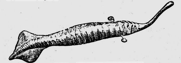 Mazon Monday #136: Is the Tully Monster Really Extinct