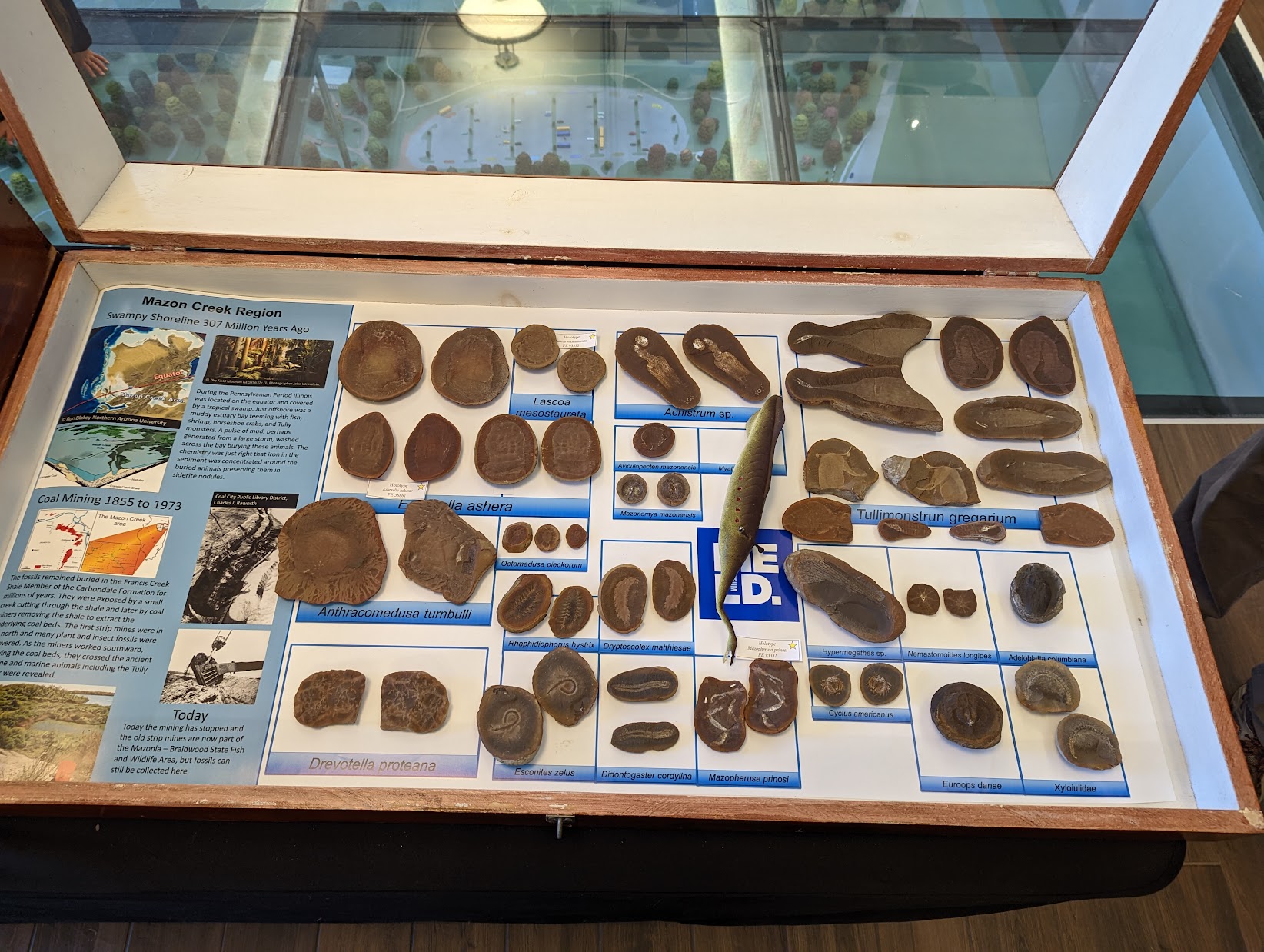 Mazon Monday #134: 2022 Mazon Creek Open House Report With Videos