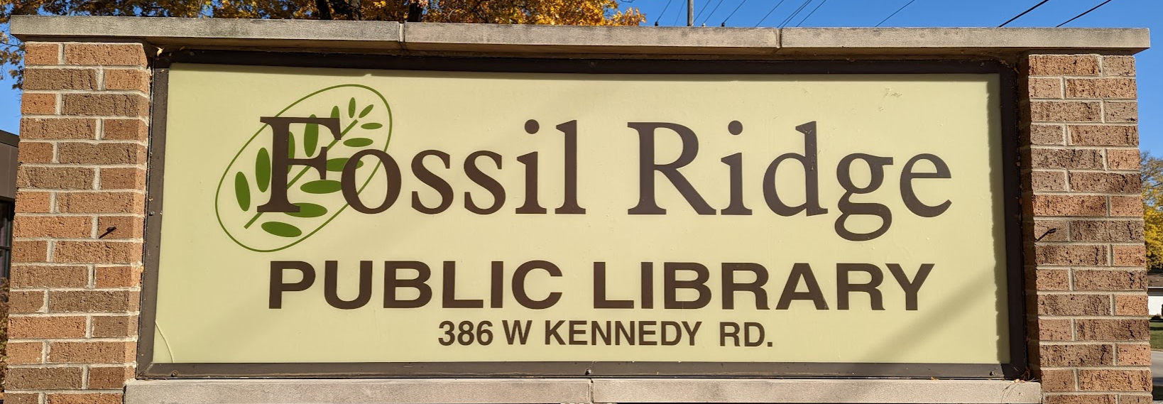 Throwback Thursday #136: Hilmer Case in Fossil Ridge Public Library