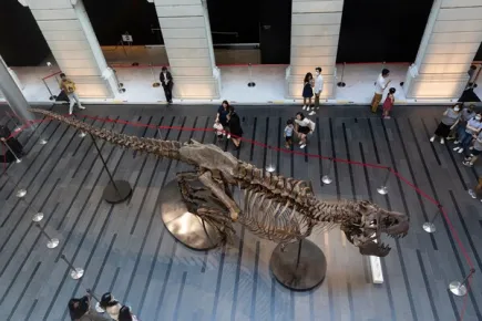 As Dinosaur Fossils Fetch Millions, There’s Many a Bone to Pick