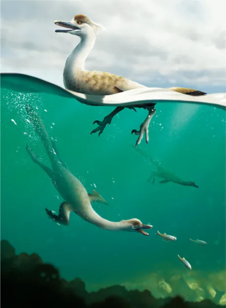 Mongolian fossil is first known species of streamlined non-avian theropod dinosaur to walk on two legs