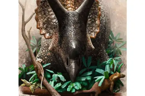 Dinosaurs were on the up before asteroid downfall, study finds