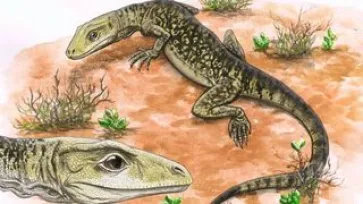 Ancient lizard with teeth like butcher knives ‘re-calibrates the whole shebang’ of reptile evolution