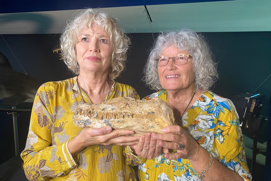 Family trio of fossil hunters behind rare discovery in outback Queensland