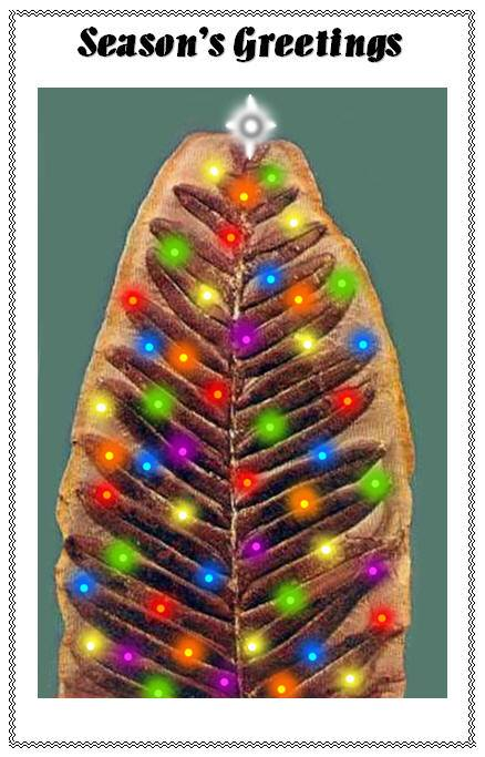 Merry Christmas from ESCONI!