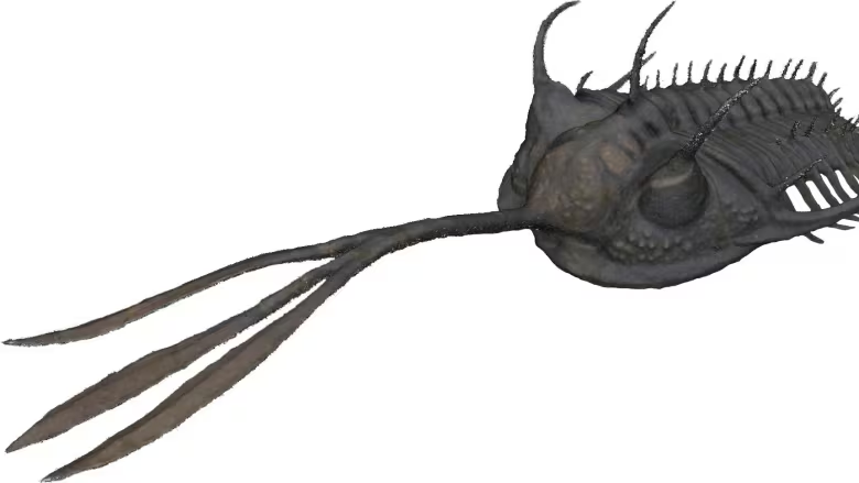 Trilobite Tuesday #43: Ancient sea creature sported a big fork on its head to toss away the competition, study suggests