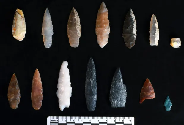 A Historic Discovery: Archaeologists Uncover Oldest Known Projectile Points in the Americas