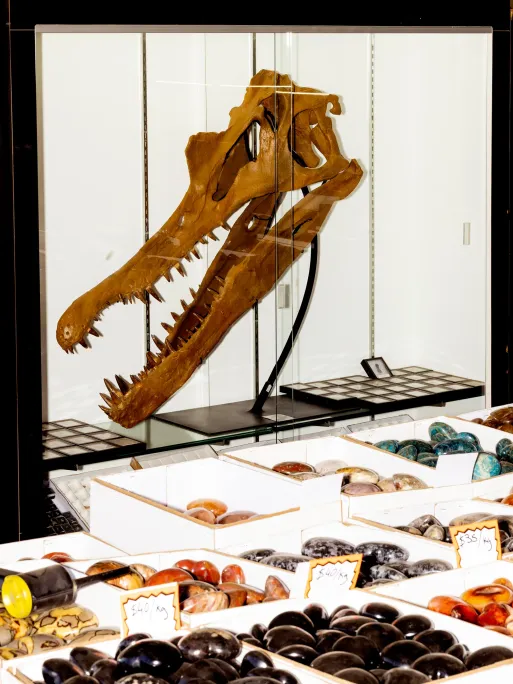 The Search for the Perfect Stone