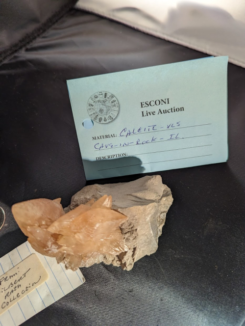 2023 ESCONI Gem, Mineral, and Fossil Show – Preview #13!